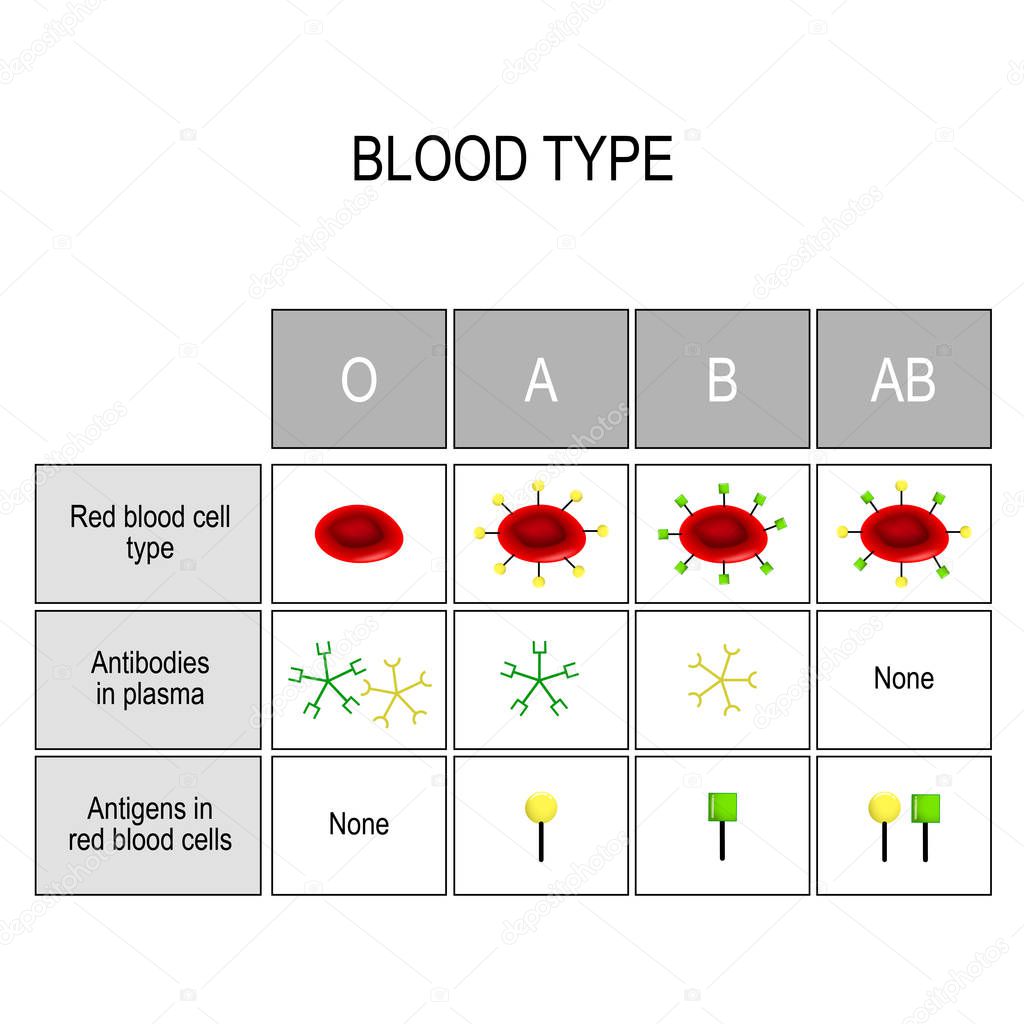 Blood groups Chart. There are four basic blood types, made up from combinations of the type A and type B antigens. Types of blood (A, B, AB, O). There is a specific compatibility between groups for donating and receiving blood. Only a certain type of