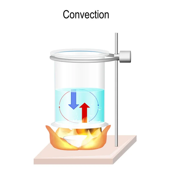 对流是流体中的传热 前进和扩散 加热时 会使热水和冷水流动的过程 能量在液体中的传输 传染媒介例证为科学和教育用途 — 图库矢量图片