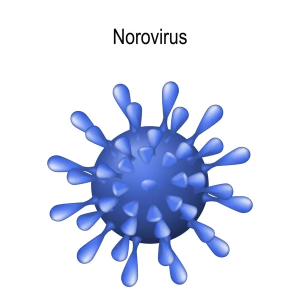 Norovirus Virus Norwalk Virión Sobre Fondo Blanco Vómito Invierno Causa — Vector de stock