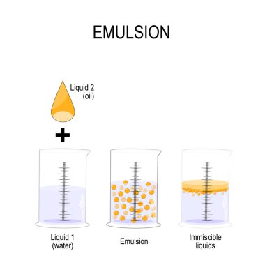 Emülsiyon normal immiscible iki sıvı bir karışımıdır. Petrol düşüş ve su, emülsiyon ve immiscible sıvı ile 3 mezun silindir. Vektör çizim biyolojik, bilim, fizik, kimya ve tıbbi kullanım için.