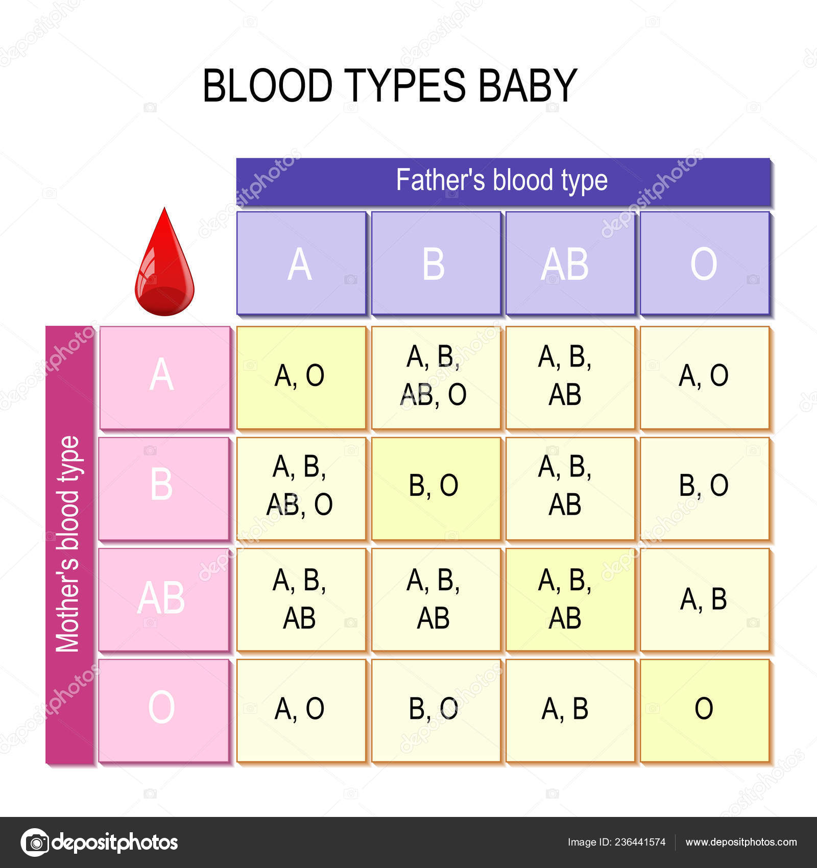 Blood Types Baby Chart How Mother Father Blood Types Impact Stock Vector Image By C Edesignua