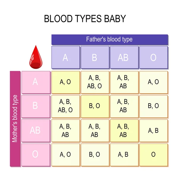 Bloedgroepen Baby Grafiek Hoe Beïnvloeden Bloedgroepen Van Moeder Vader Bloedgroep — Stockvector