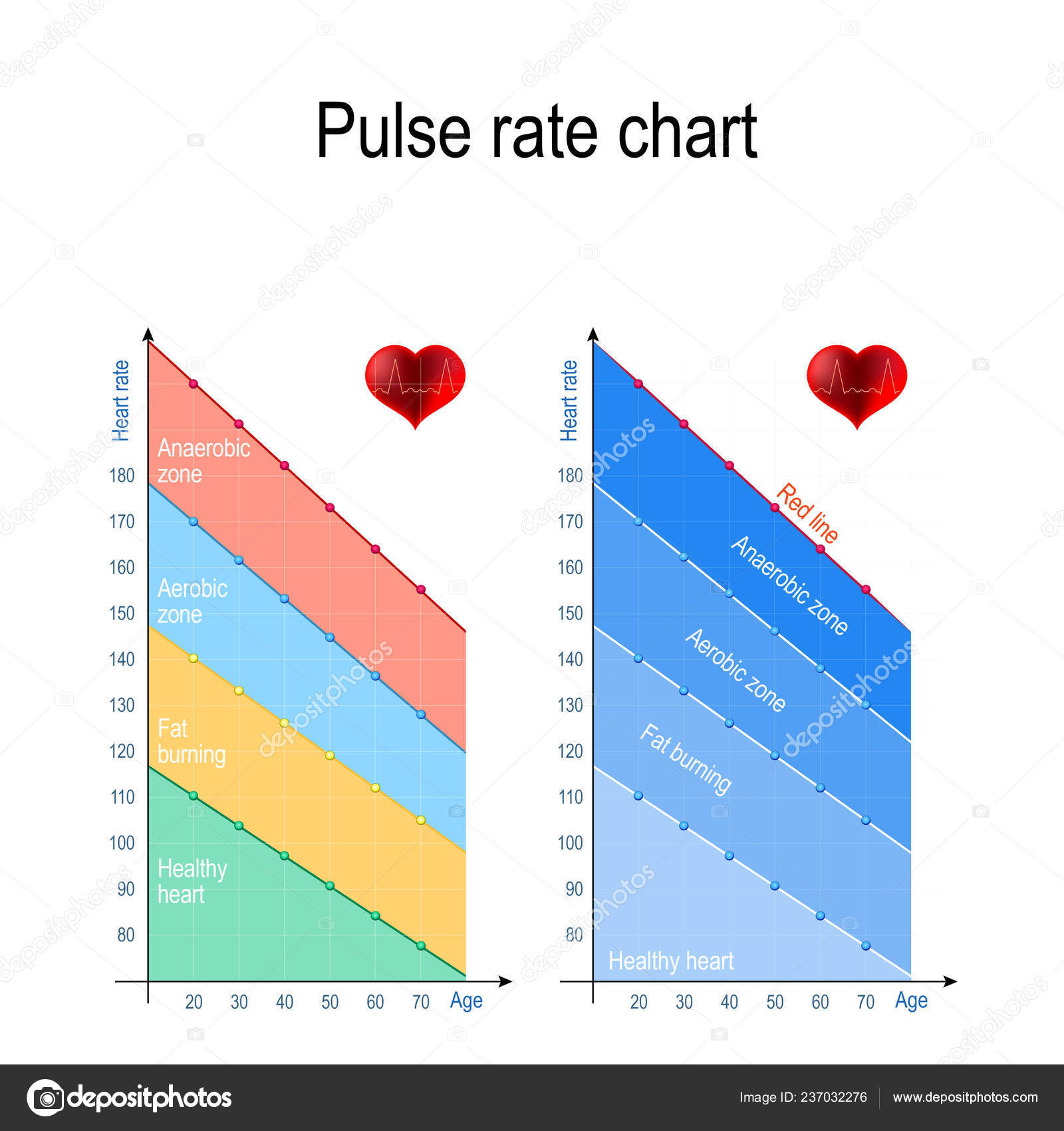 Maximum Heart Rate Chart