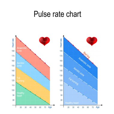 Pulse rate chart for healthy lifestyle. Maximum heart rate. Healthy heart, weight management, aerobic and anaerobic zone. maximum heart rate by age. Vector illustration for education, science and medical use clipart