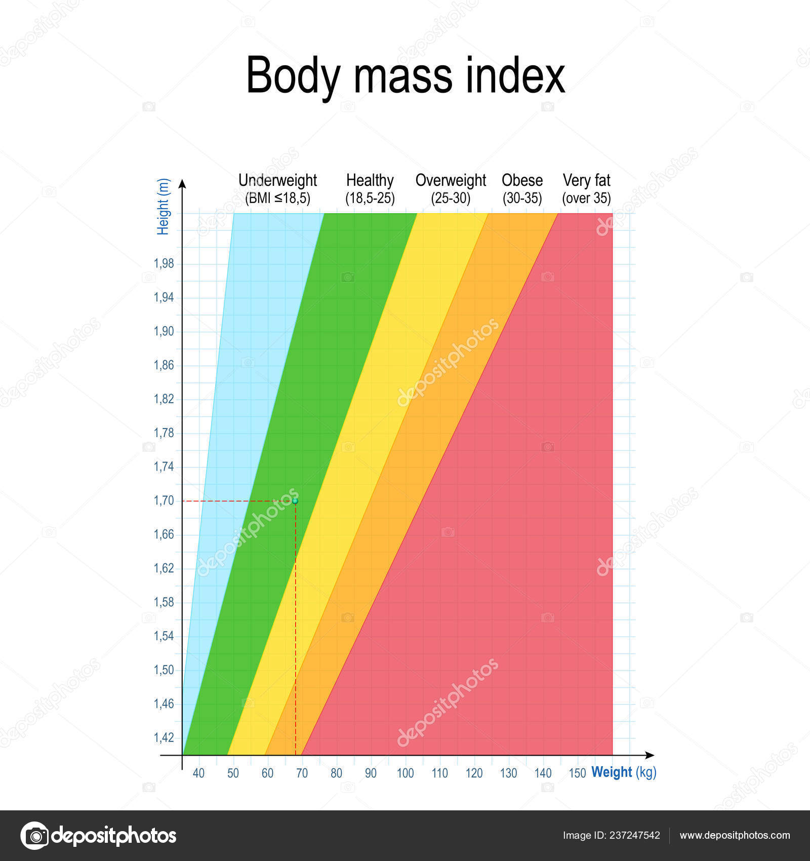 Height V Weight Chart