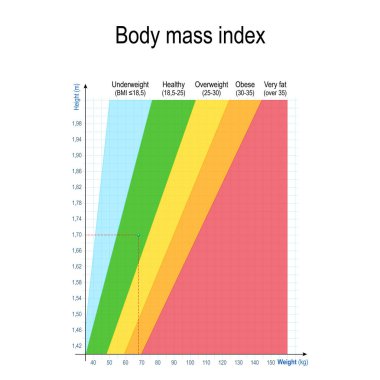 vücut kitle indeksi (VKİ). Ağırlık yükseklik grafik. Kadınlar ve erkekler için. Kilo ağırlık, metre yükseklikte. sağlıklı bir yaşam tarzı. Vektör çizim eğitim, bilim ve tıp kullanın