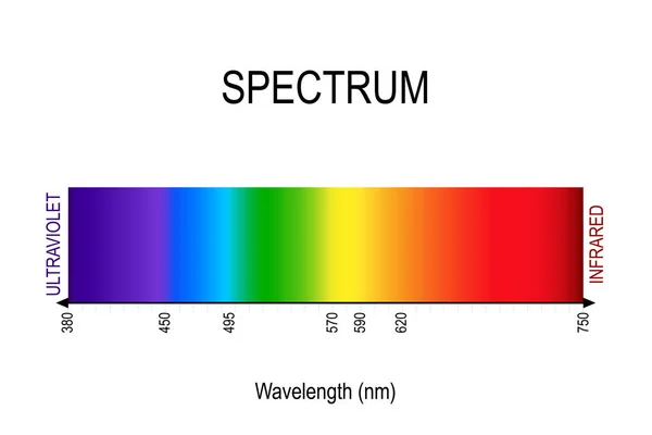 Спектр Видимый Свет Инфракрасный Ультрафиолетовый Электромагнитное Излучение Цвет Солнечного Света — стоковый вектор