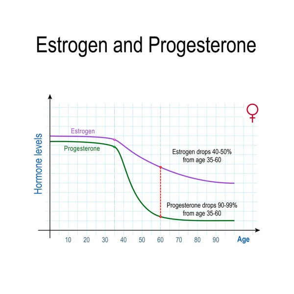 Estrogen Progesterone Aging Chart Sex Hormone Production Women Vector Illustration — Stockvector