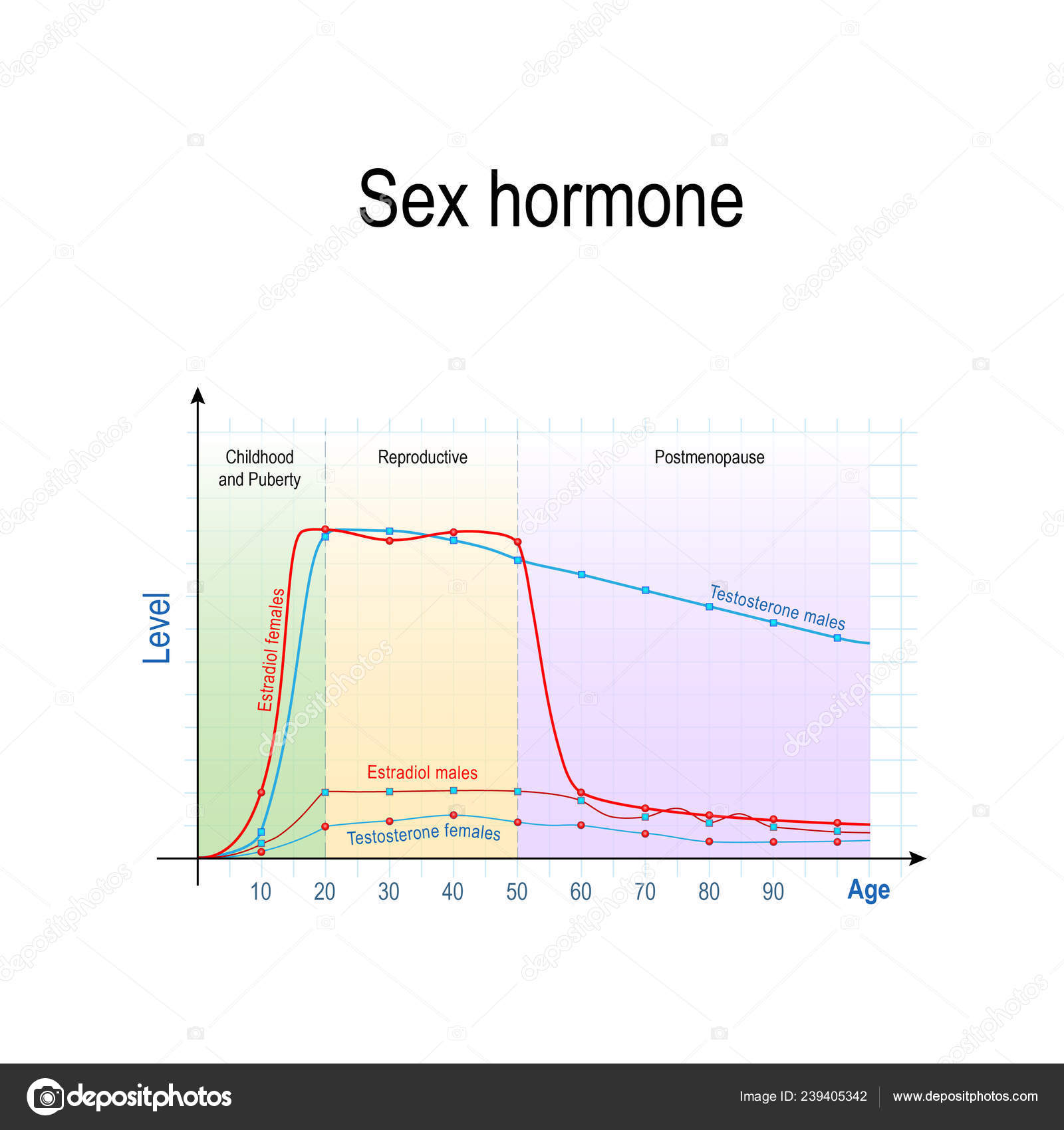 Estrogen i seks