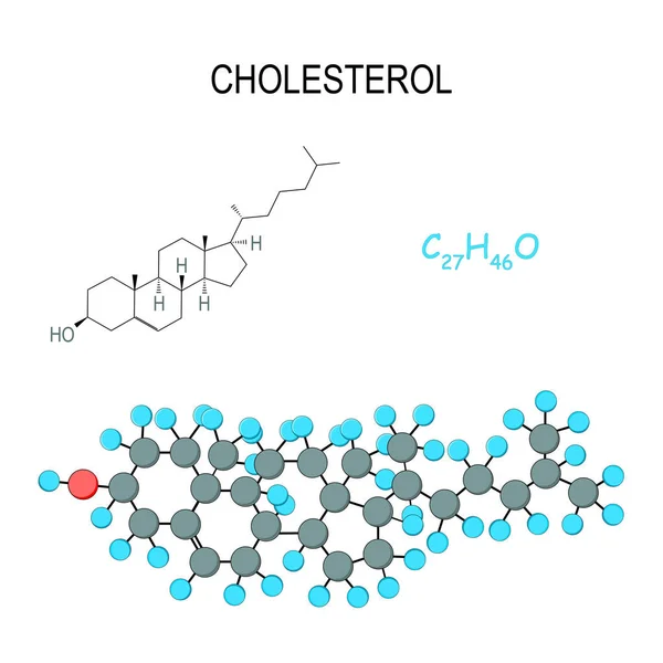 胆固醇。化学结构公式及分子模型. — 图库矢量图片