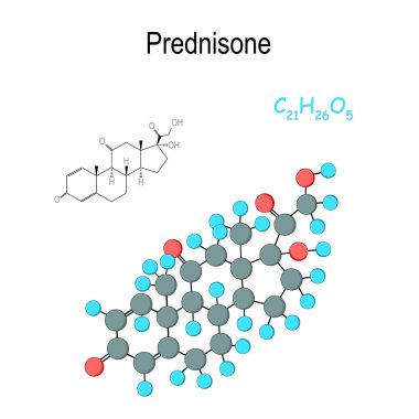 Prednisone. Kimyasal yapısal formül ve hormon mol modeli
