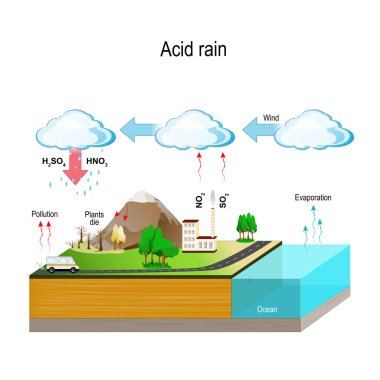 Acid rain clipart