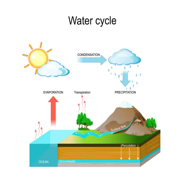 Ciclo dell'acqua — Vettoriale Stock