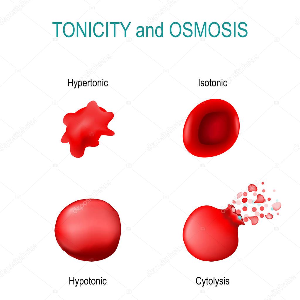 Tonicity is a measure of the osmotic pressure in red blood cells