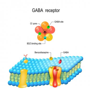 Cell membrane. GABA receptor. Top view of ion channel  clipart