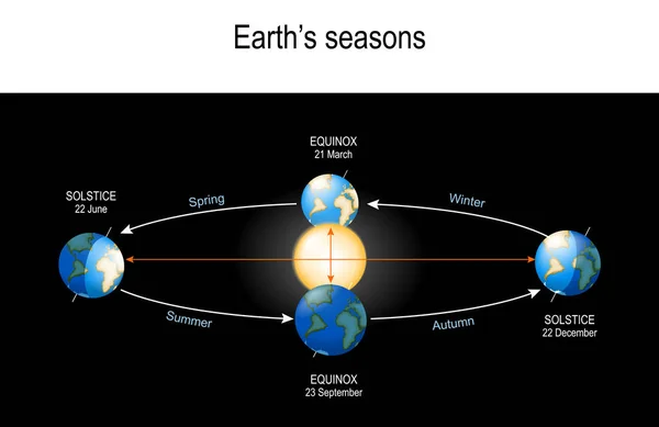 Earth 's Seasons. El movimiento de la Tierra alrededor del Sol . — Vector de stock