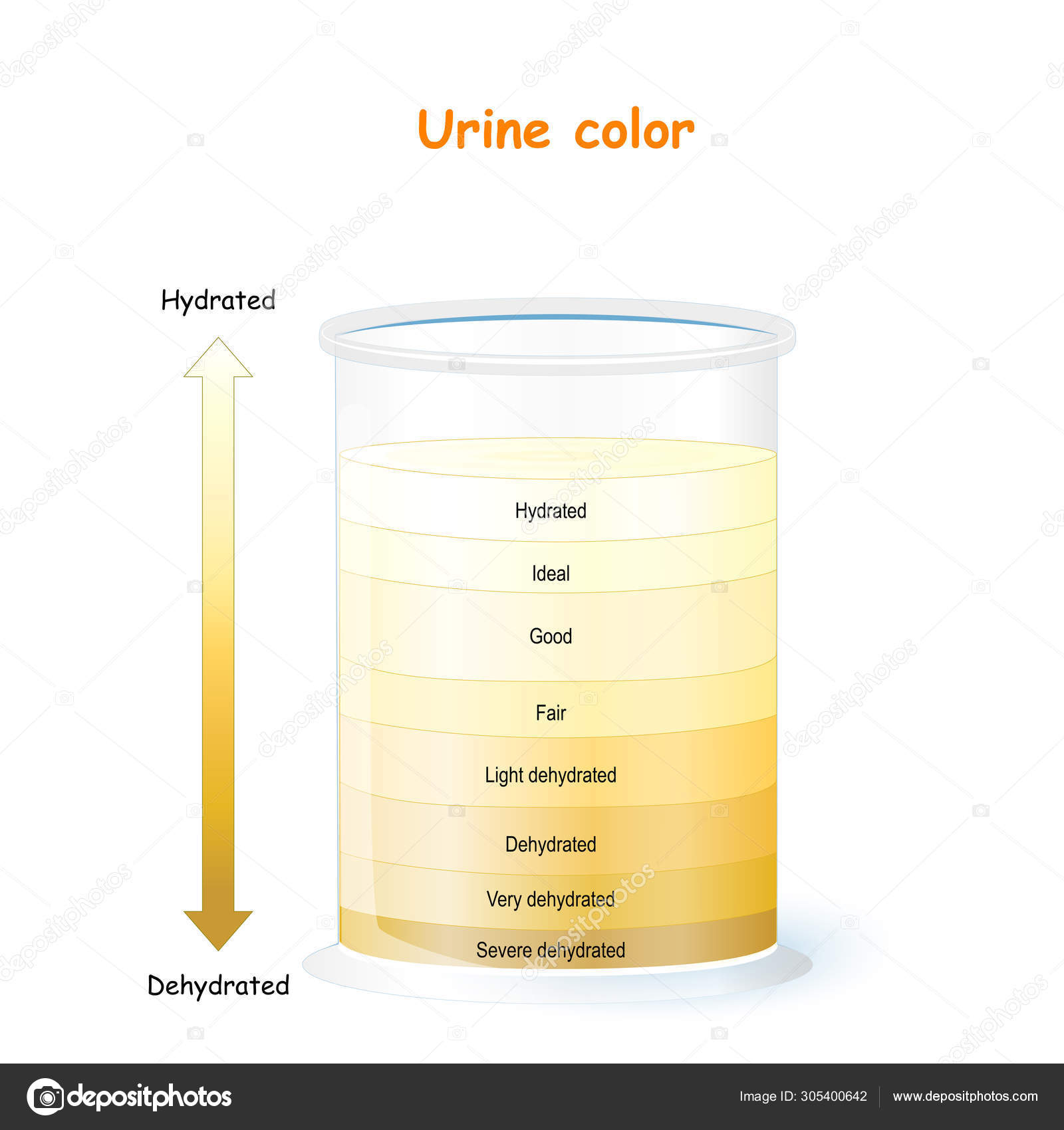 Urine Color Hydration Chart