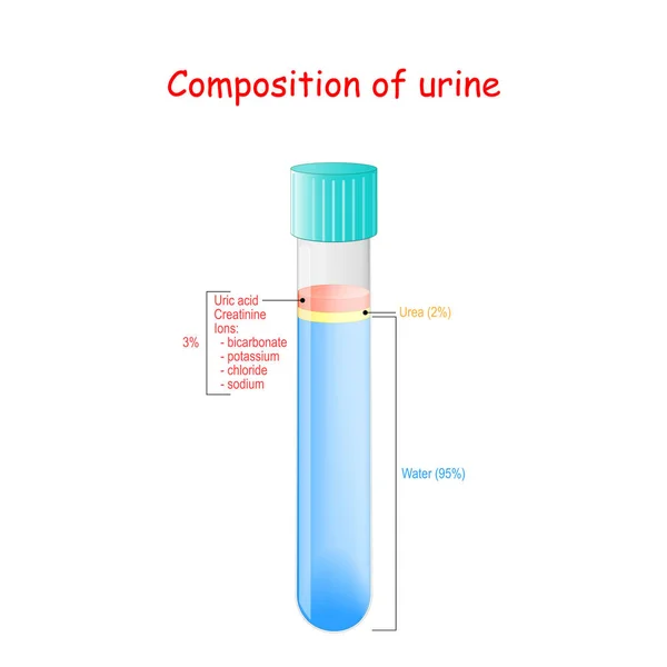 Urina no tubo de ensaio. Composição da urina — Vetor de Stock