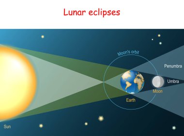 Ay tutulması. Dünya, Güneş ve Ay 'ın arasına girer ve Ay' ı gölgesiyle kaplar. Şematik şema. Vektör illüstrasyonu