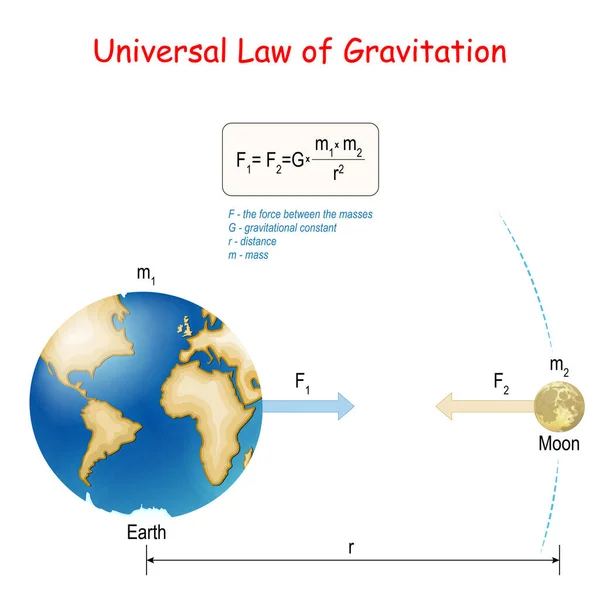 Newton Wet Van Universele Zwaartekracht Aarde Maan Fysieke Wet Klassieke — Stockvector