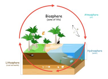 Biyosfer, Dünya 'da bir yaşam alanıdır. Vahşi yaşam ile birlikte doğal ekosistemler. Ekosfer (çevre), Hidrosfer (su), Atmosfer (hava) ve Lithosphere (kabuk ve üst mantonun parçası). Eğitim için vektör illüstrasyonu