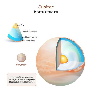 Jüpiter iç yapısı. Gezegenin çekirdekten kabuğa çapraz kesiti. Jüpiter 'in uydusu Ganymede. Güneş sistemi. Bilgi grafikleri. Vektör diyagramı. Düzenlemesi kolay