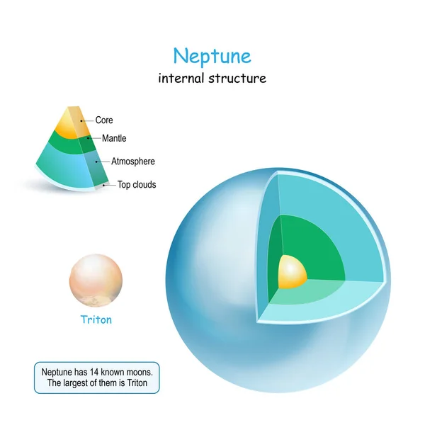 Neptune Internal Structure Cross Section Planet Core Mantle Crust Triton — Stock Vector