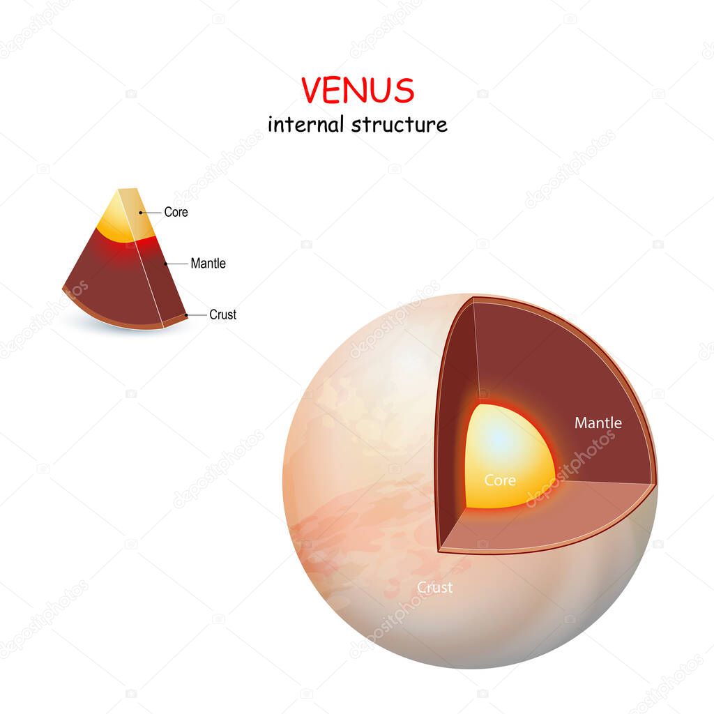 Venus internal structure. cross section of planet from core to mantle and crust.  Solar system. infographics. vector diagram. Easy to edit