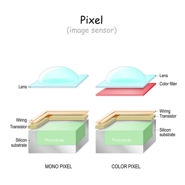 Pixel Vagyok Képérzékelő Szerkezete Mono Színes Pixel Szilícium Szubsztrátból Tranzisztorból — Stock Vector