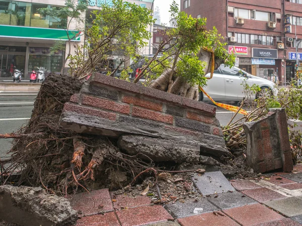 Düşmüş bina duvarı