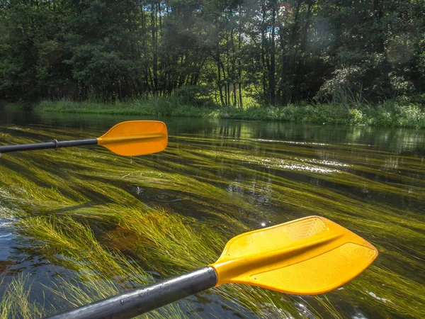 Peddels en hun reflectie — Stockfoto