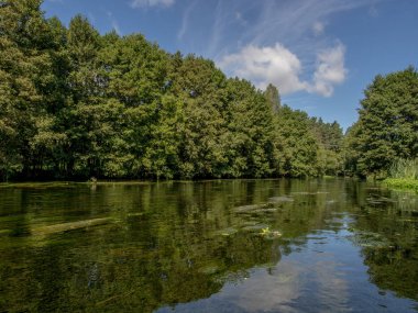 Suya yansıyan ağaçlar ve bulutlar