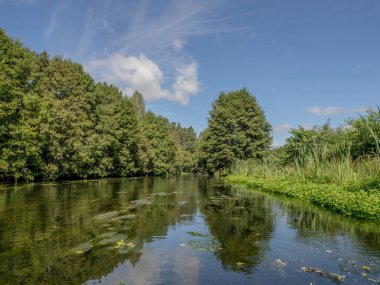 Suya yansıyan ağaçlar ve bulutlar