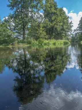 Suya yansıyan ağaçlar ve bulutlar