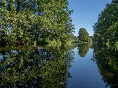 Ağaçlar ve gökyüzü bir suya yansıyor