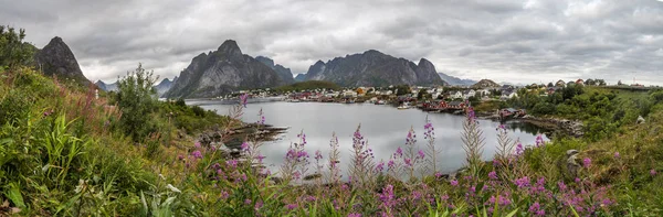 Lofoten. Noruega. Europa . —  Fotos de Stock
