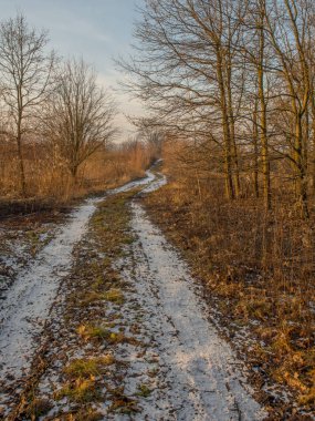 Kışın doğa rezervi