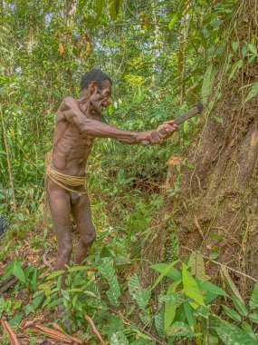 Göçebe Orman Kabilesi 