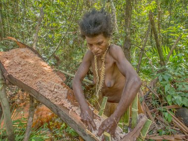 Göçebe Orman Kabilesi Korowai Kadın