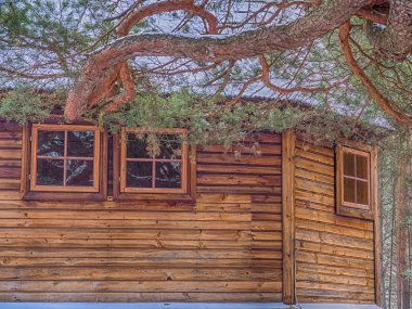 Radachowka 'daki tarihi kilise.