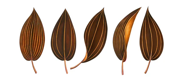 Set of exotic tropical leaves isolated on white. Watercolor illustration. — Stock Photo, Image
