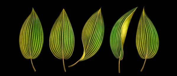 Set of exotic tropical leaves isolated on black. Watercolor illustration. — Stock Photo, Image