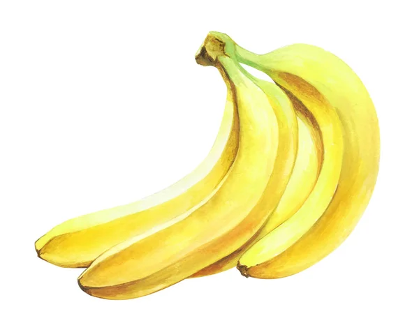 Um bando de bananas isoladas no fundo branco. Ilustração aquarela . — Fotografia de Stock