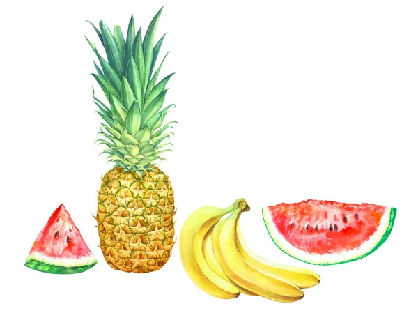 Früchte isoliert auf weißem Hintergrund. handgezeichnete Aquarell-Illustration. — Stockfoto