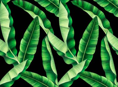 Muz yaprakları ile Dikişsiz desen. El çizilmiş suluboya illüstrasyon.