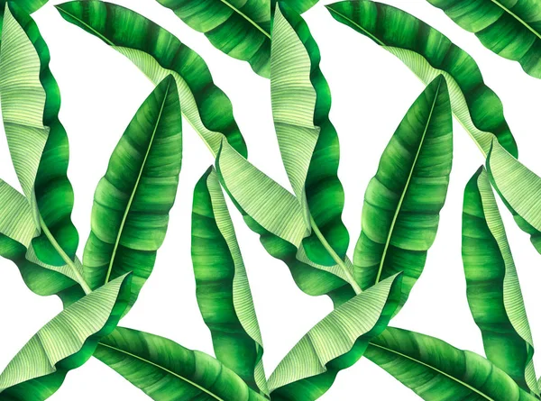 Muz yaprakları ile Dikişsiz desen. El çizilmiş suluboya illüstrasyon.