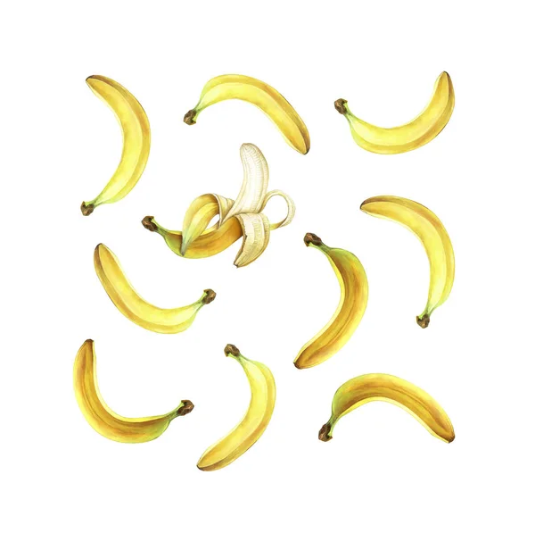 Mönster med bananer isolerade på vitt. Handritad akvarell illustration. — Stockfoto