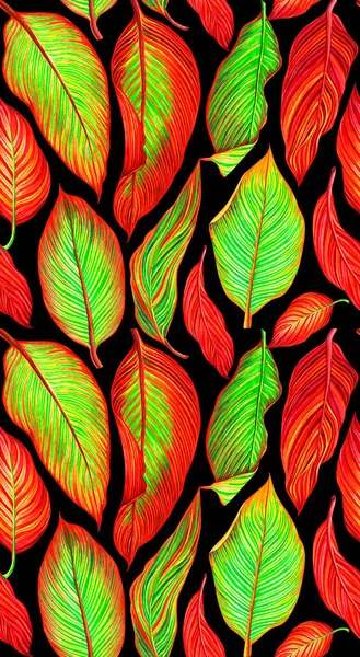 Цветной бесшовный рисунок с тропическими листьями канны на черном фоне . — стоковое фото