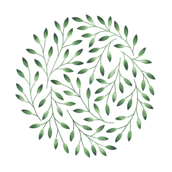 Stilize suluboya ağacı dalları beyaz izole ile zarif yuvarlak desen. — Stok fotoğraf
