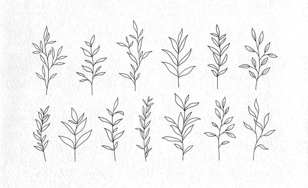 Ensemble Branches Feuilles Arbres Vecteurs Eléments Floraux Dessinés Main Dessin — Image vectorielle